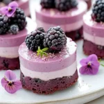 Mini Blackberry Mousse Cakes