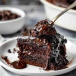Hot Fudge Cake